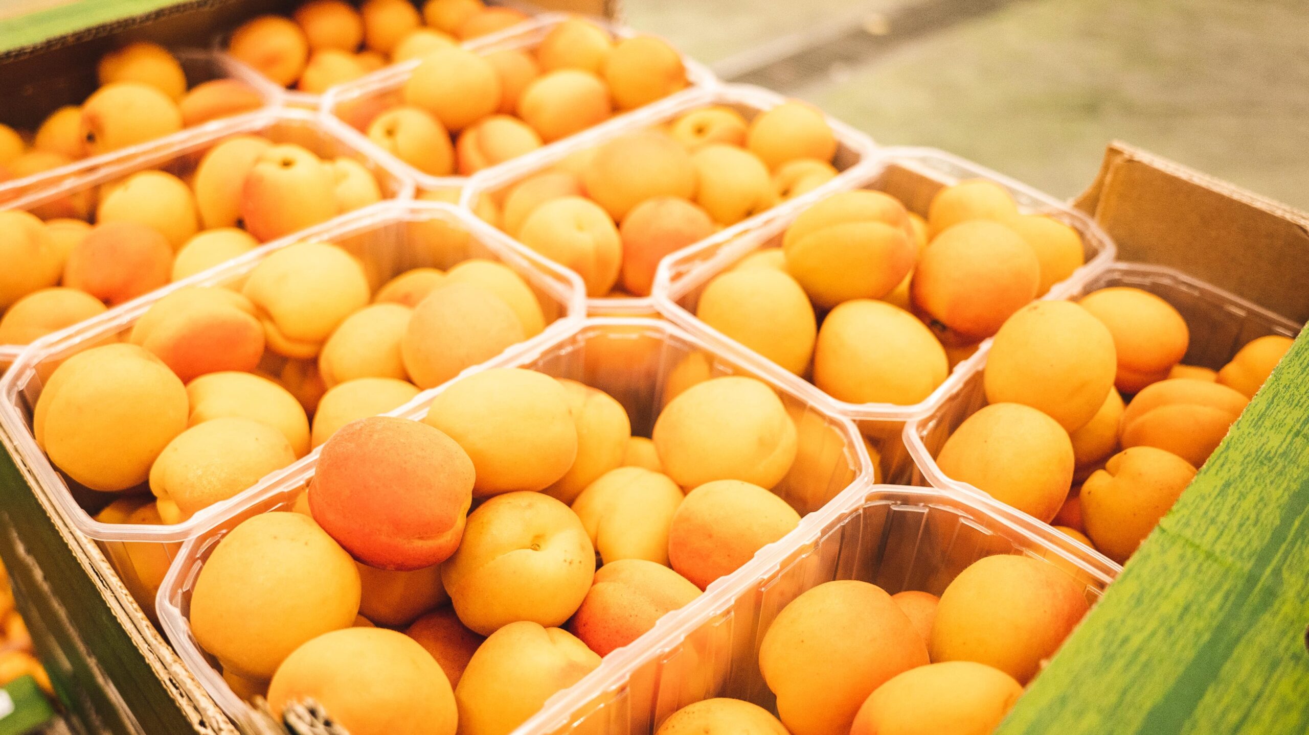 apricots in syrup