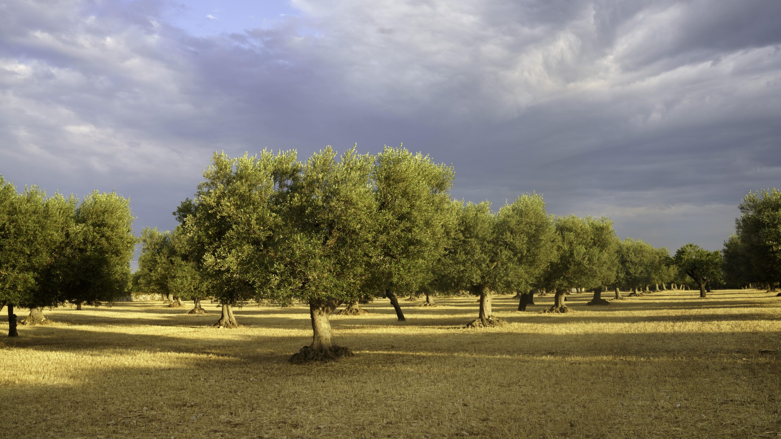 esplorare la Puglia